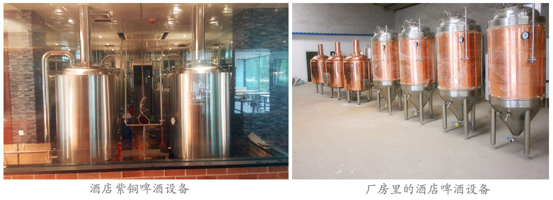 紫铜精酿啤酒设备 紫铜精酿啤酒设备