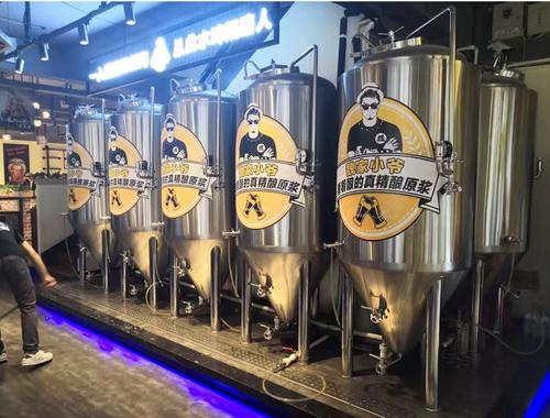 精酿啤酒设备 精酿啤酒设备