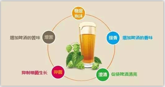 精酿啤酒设备 精酿啤酒设备
